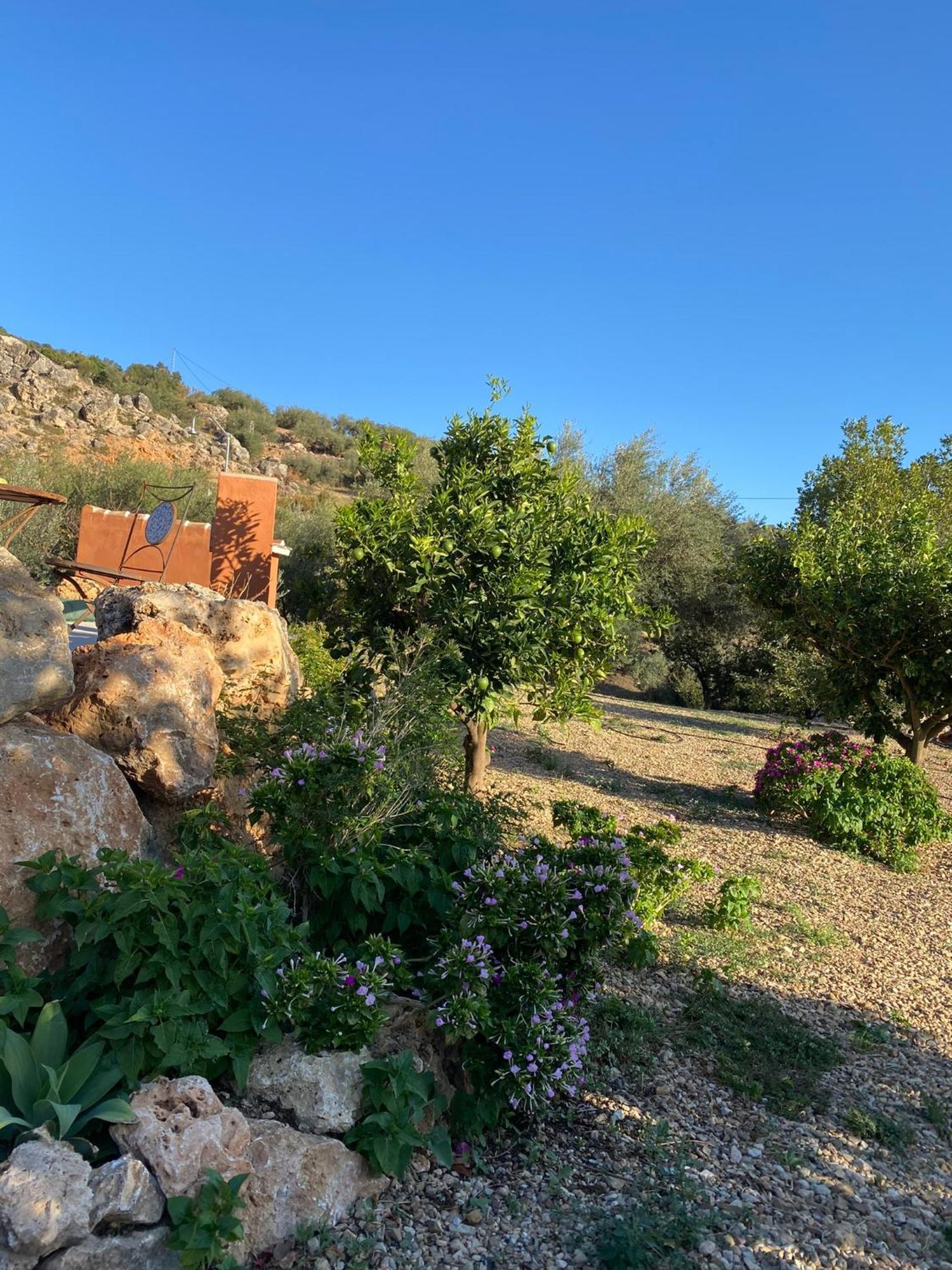 Casa Rural Antonio Y Esperanza Periana Екстериор снимка